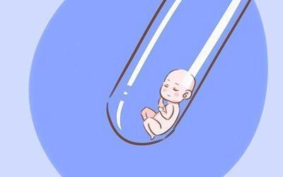 供卵包男孩正规代生公司